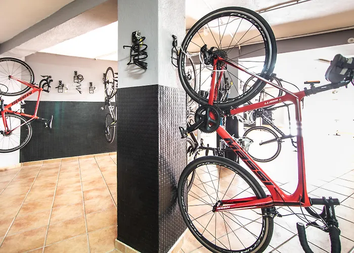 Cabot Pollensa Park Hotell